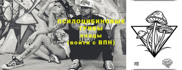амф Абдулино