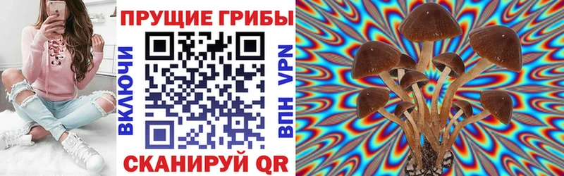 Псилоцибиновые грибы Magic Shrooms  дарк нет как зайти  Гагарин 